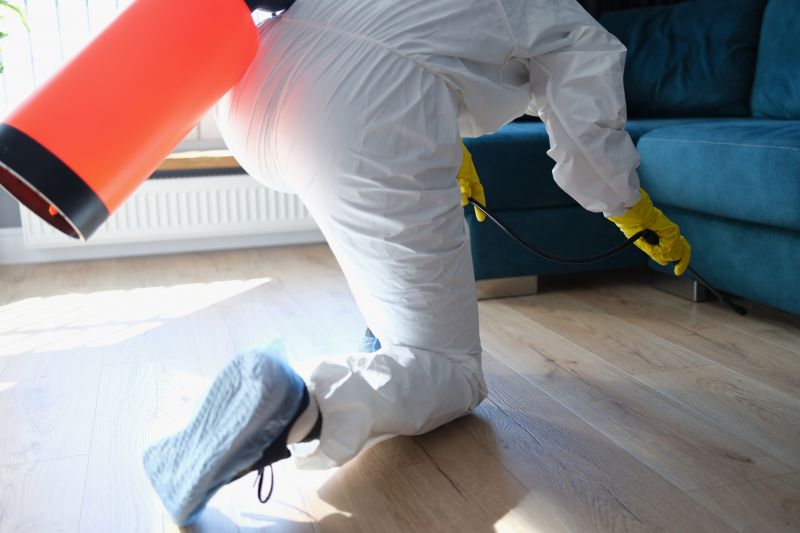 Bug Removal Service in Katy, TX