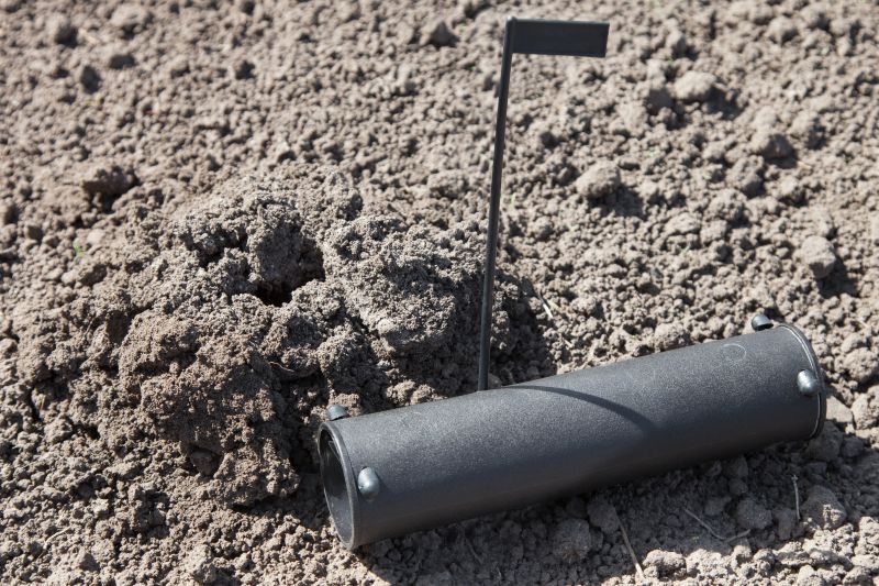 How Underground Mole Tunnels Damage Lawns And Irrigation Systems