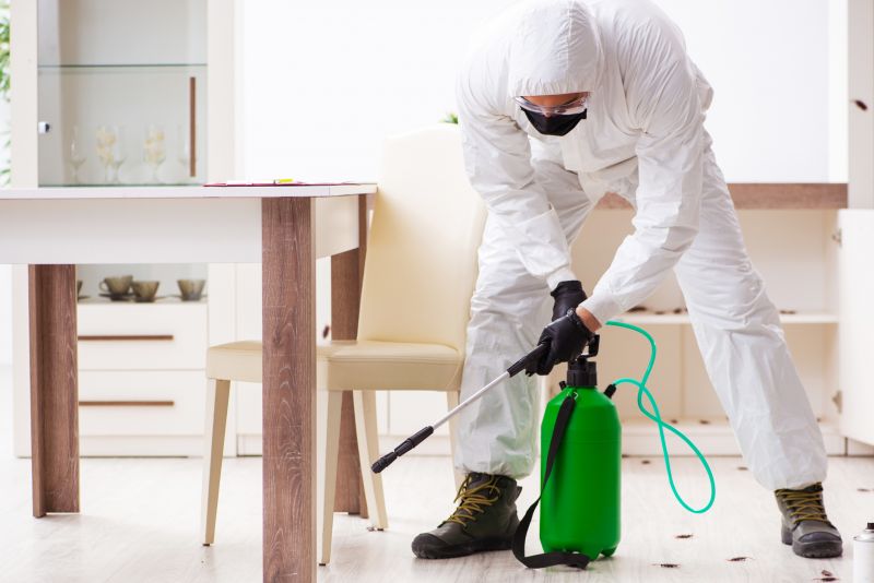 Local Pest Control Companies